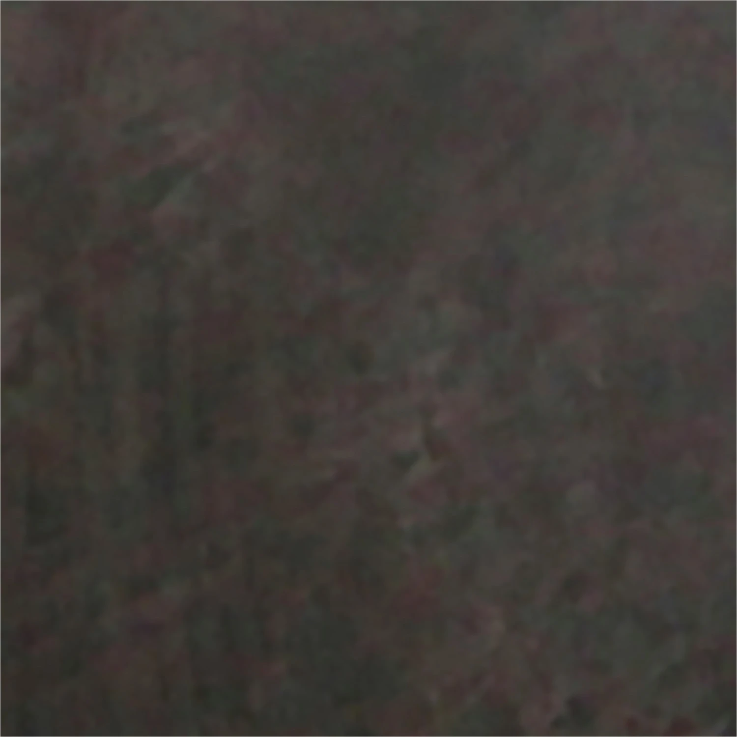 Women's Heldia Tall Boot - Image 6