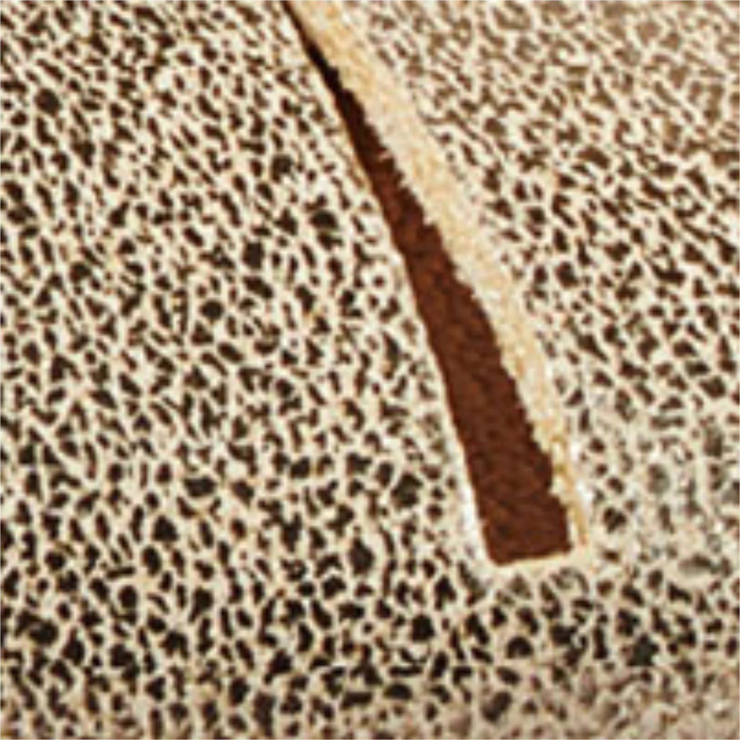 Women's Cushion Spring Bloom Slide Sandal - Image 5