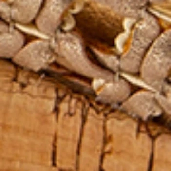 Women's Flossey Wedge Sandal - Image 5