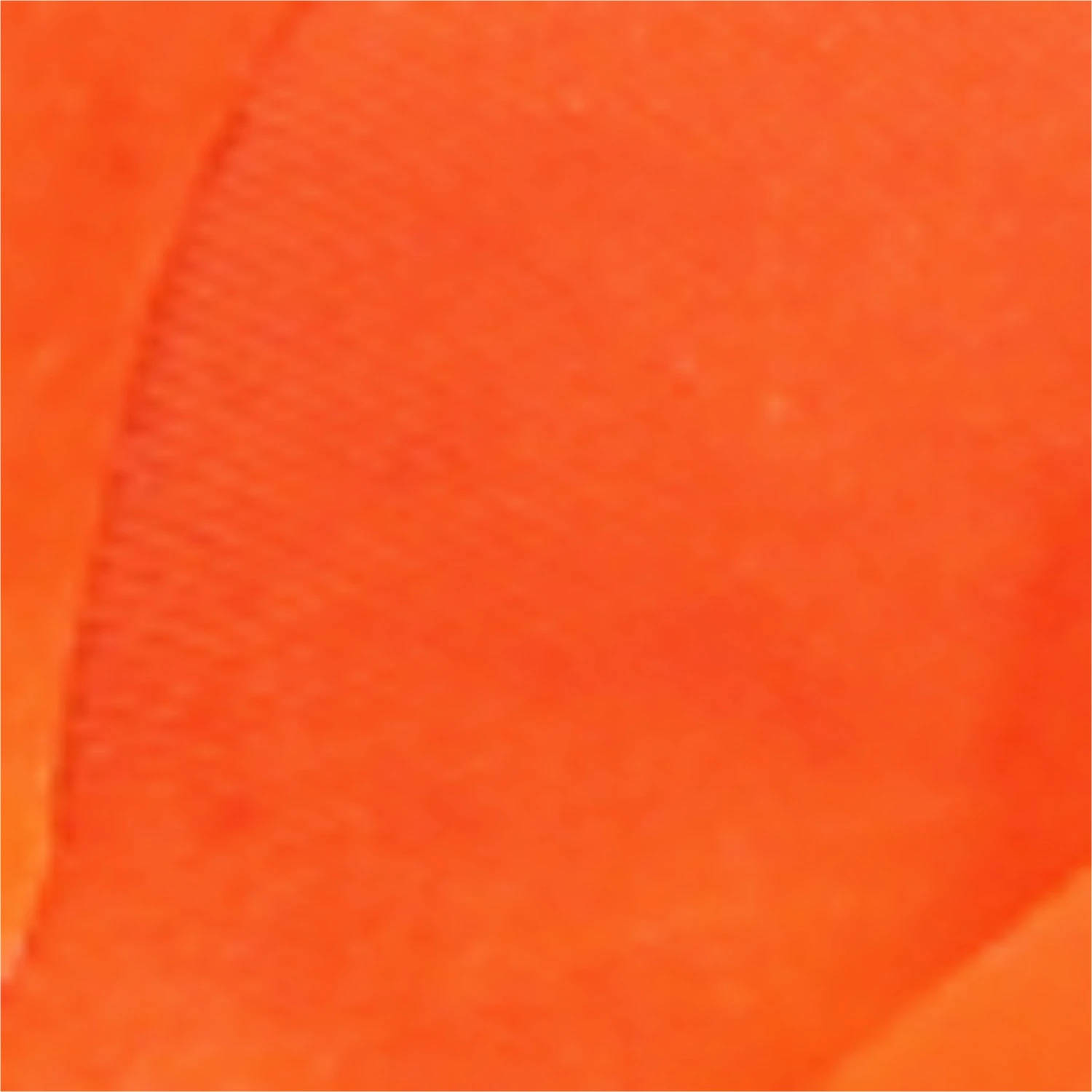 Women's Capriflore Sandal - Image 10