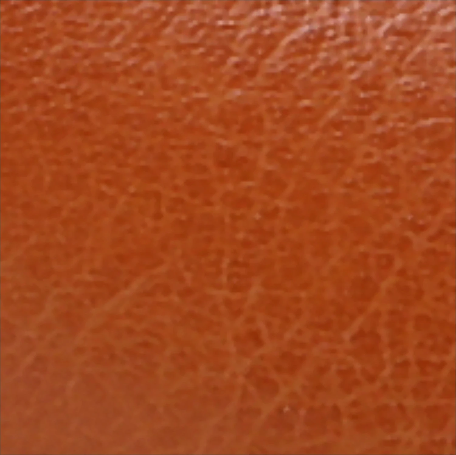 MIA Women's Lauri Wedge Sandal - Image 6