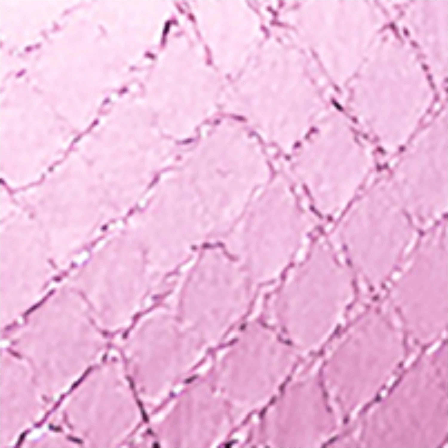 Women's No Prob Platform Dress Sandal - Image 6