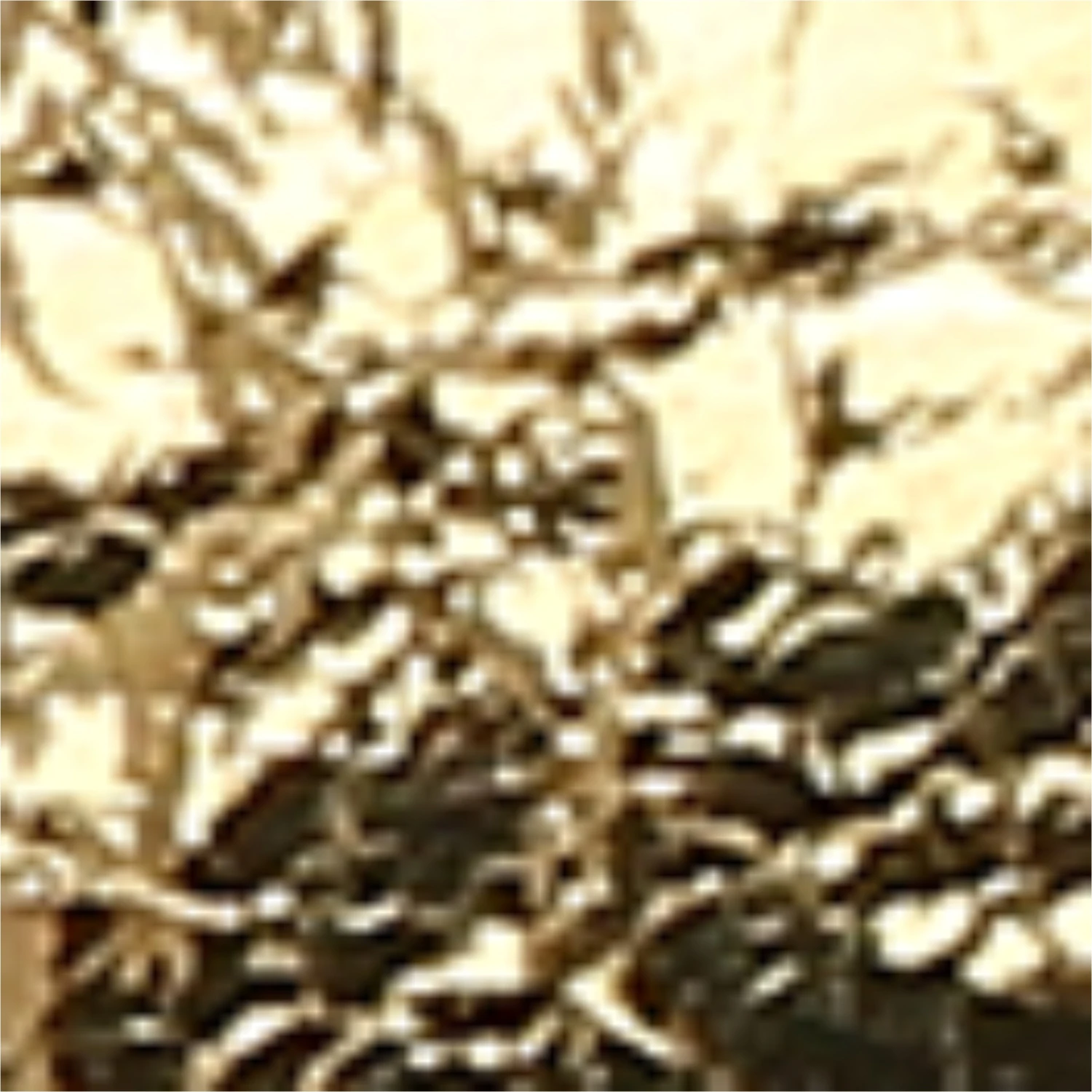 Women's Dosha Gladiator Sandal - Image 10